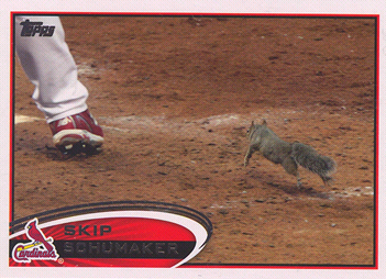 Saint Louis Cardinals Rally Squirrel