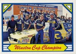 Top 10 Dale Earnhardt Cards