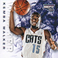 Top 5 Kemba Walker Rookie Cards