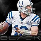 2013 Panini Black Football Cards