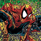 Top 5 Spider-Man Trading Card Sets