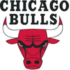 Chicago Bulls Collecting and Fan Guide