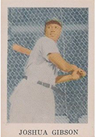 How many MVPs would Josh Gibson have won? – Jason Cards