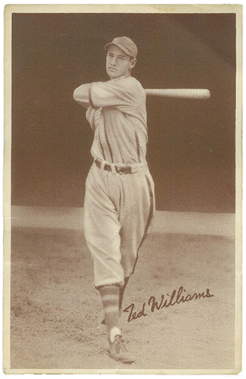 A guide Ted Williams' baseball cards