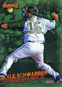 Top Kyle Schwarber Prospect Cards 8