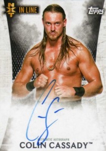 2015 Topps WWE Undisputed Autographs Gallery and Guide 40