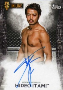 2015 Topps WWE Undisputed Autographs Gallery and Guide 44