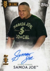 2015 Topps WWE Undisputed Autographs Gallery and Guide 47