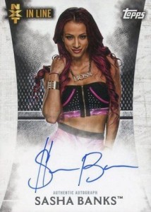 2015 Topps WWE Undisputed Autographs Gallery and Guide 46