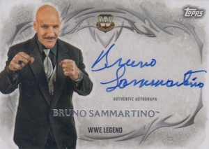 2015 Topps WWE Undisputed Autographs Gallery and Guide 4