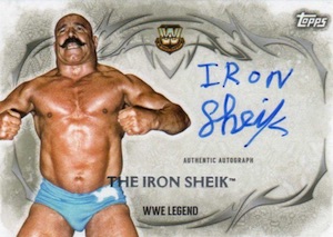 2015 Topps WWE Undisputed Autographs Gallery and Guide 12