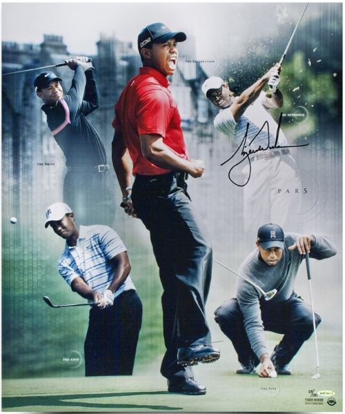 Tiger Woods Rookie Card Checklist, Autograph Memorabilia Buying Guide