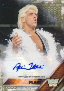 Sting/Ric Flair Autographed WWE World Heavyweight Wrestling