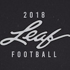 2018 Leaf Draft Football Cards