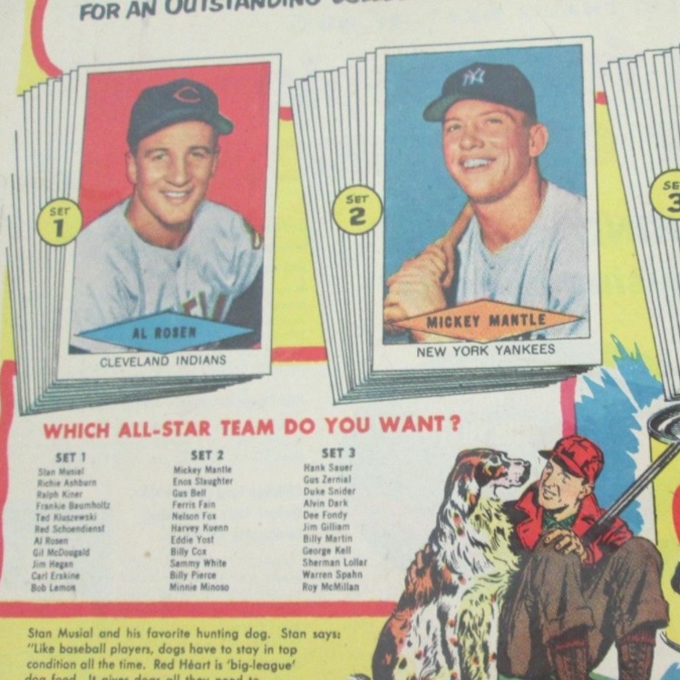 St Louis Cardinals 1954 Program Poster, Unique Gift