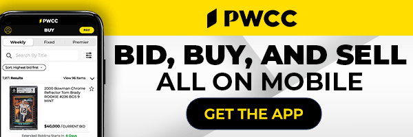 PWC – Auction Banner 300×100